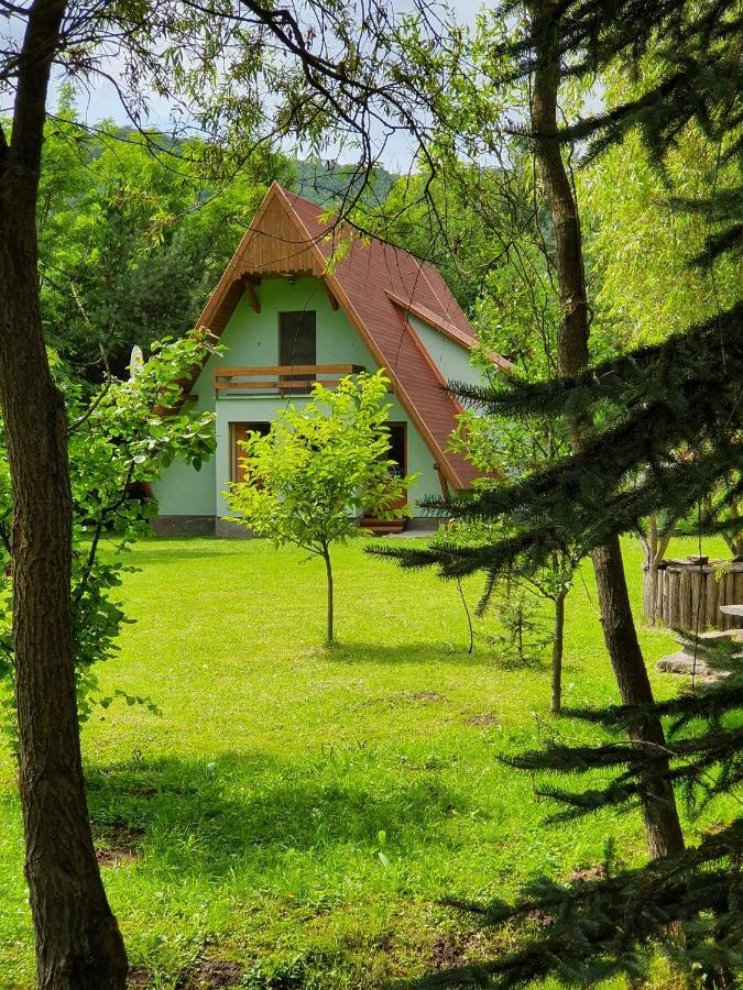 Kamilla Kulcsoshaz Villa Sub Cetate Exterior photo